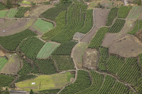 Hermoso paisaje chino disparos — Foto de Stock