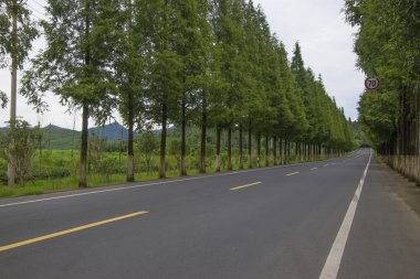 Güzel Çin yatay çekim