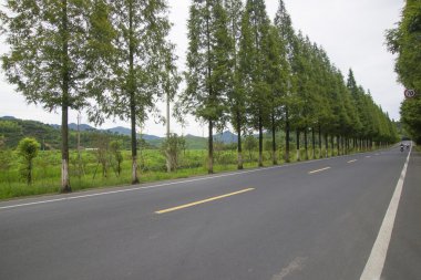 Güzel Çin yatay çekim