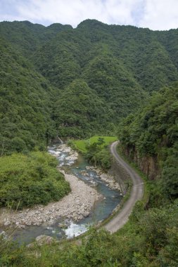 Orman ve nehir ile yeşil alan