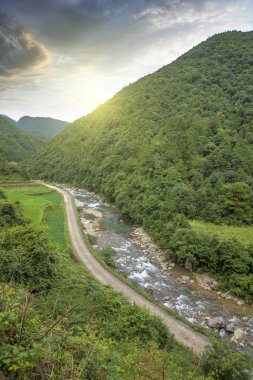 Orman ve nehir ile yeşil alan