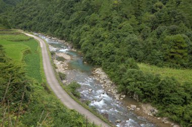 Orman ve nehir ile yeşil alan