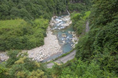 Orman ve nehir ile yeşil alan