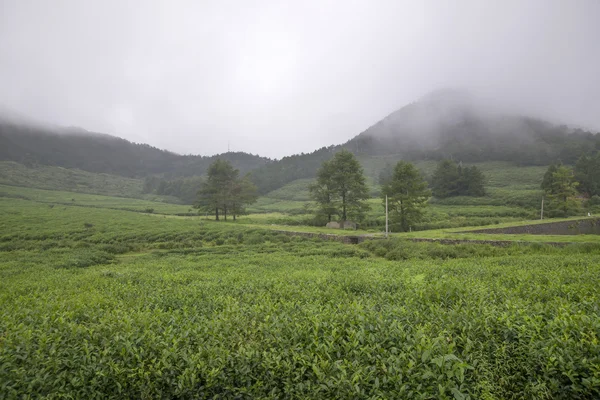 Beautiful Chinese landscape shots — Stock Photo, Image