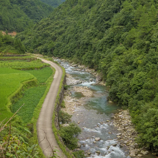 Champ vert avec forêt et rivière — Photo