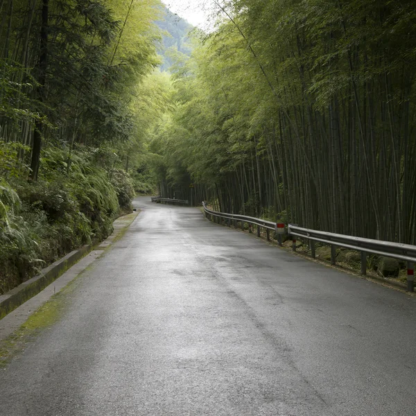 Lasy drogowego autostrady tło — Zdjęcie stockowe