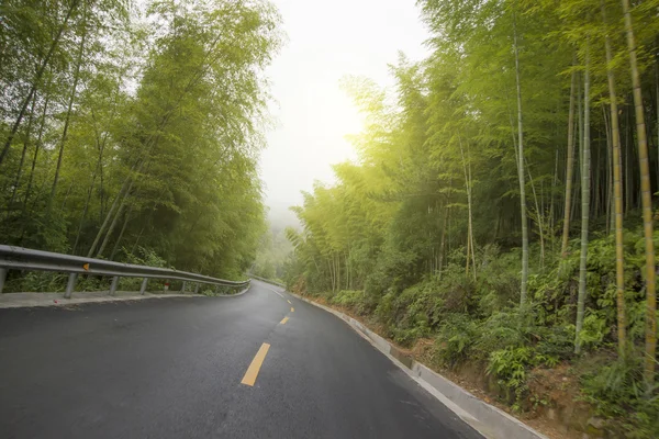 森の中の道の高速道路の背景 — ストック写真