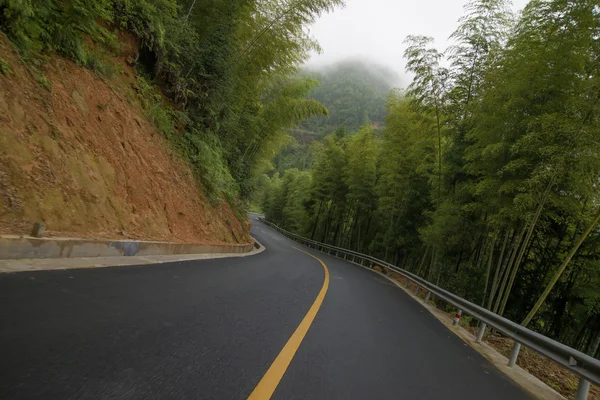 Bosques carretera — Foto de Stock