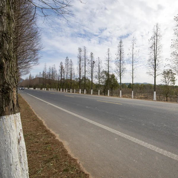 Montagna Highway backgroun — Foto Stock