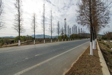dağ yolu adam
