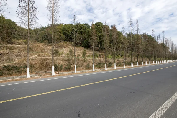 Dağ yolu adam — Stok fotoğraf