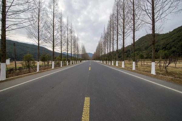 Montaña carretera backgroun — Foto de Stock