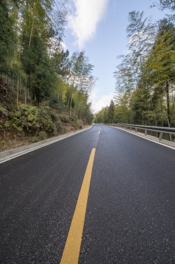 otoyol orman yolu
