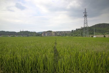 Elektrik kule alanı