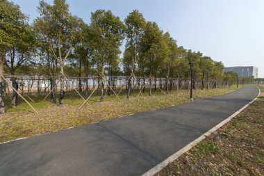 Güzel Çin yatay çekim