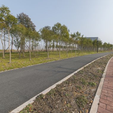 Güzel Çin yatay çekim