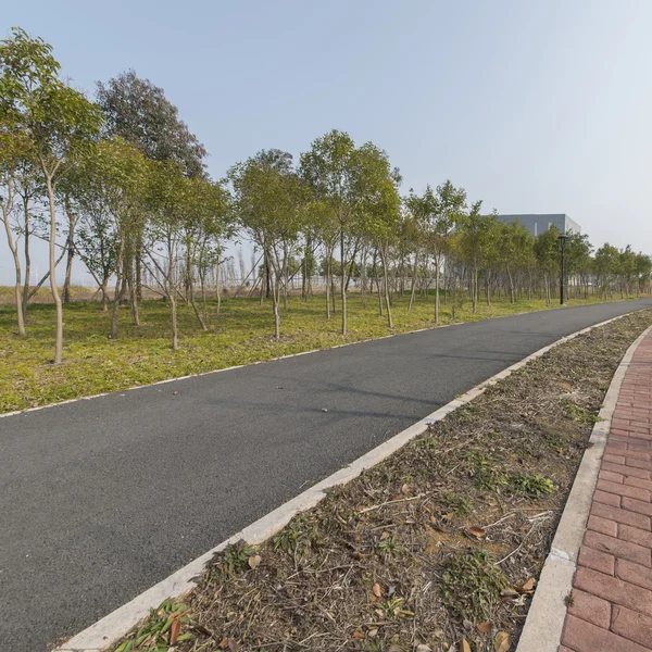 Güzel Çin yatay çekim