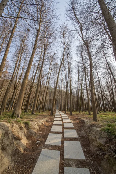 Beautiful Chinese landscape shots