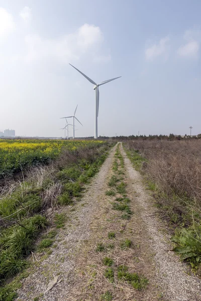 Campo verde com moinhos de vento — Fotografia de Stock