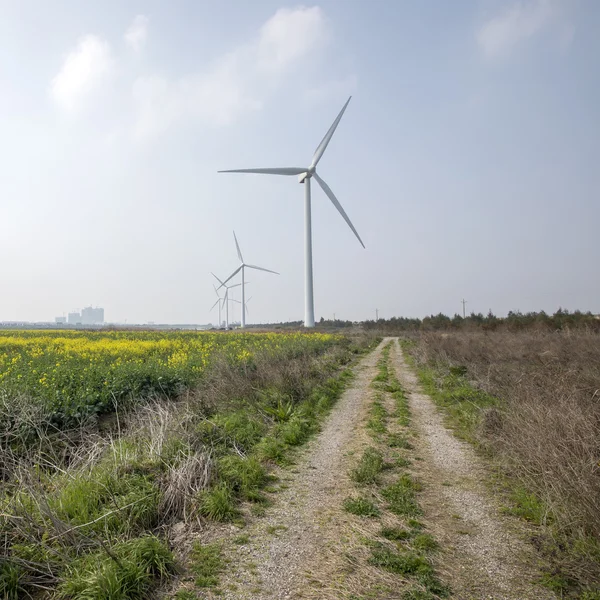 Το Green Field με ανεμόμυλους — Φωτογραφία Αρχείου