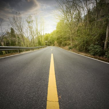 Orman Otoban yolu