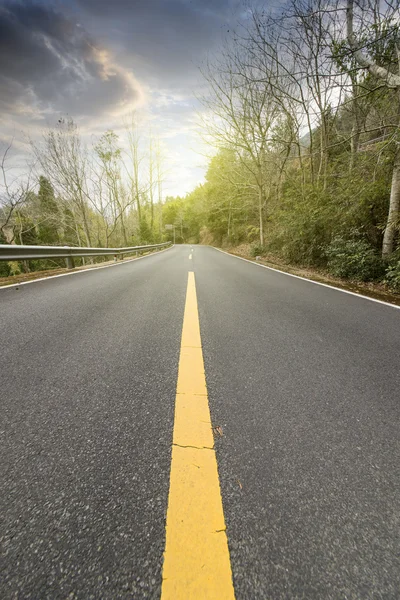 Bos snelweg weg — Stockfoto