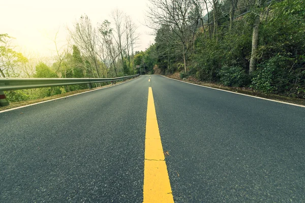 Orman Otoban yolu