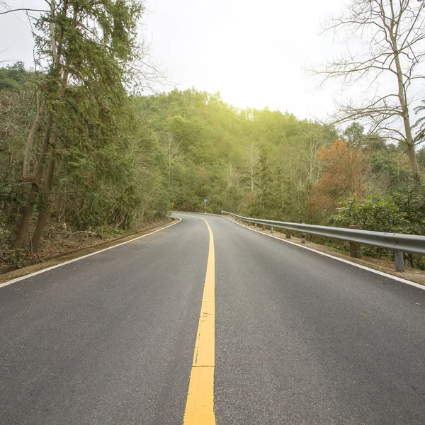 高速道路の林道 — ストック写真