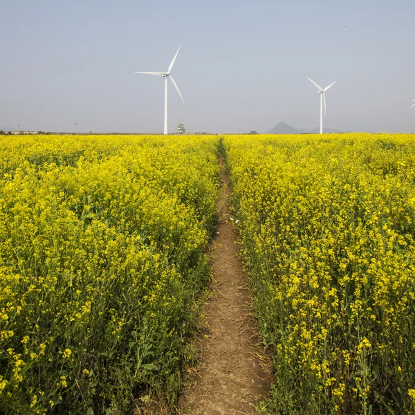 Moinhos de vento em uma estrada de campo — Fotografia de Stock