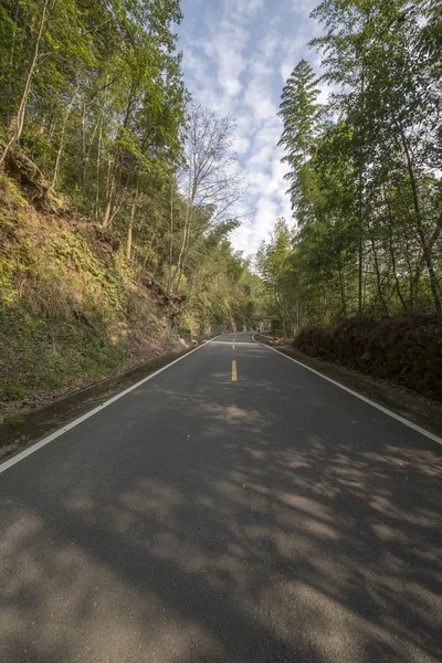 Serpentinenstraße — Stockfoto