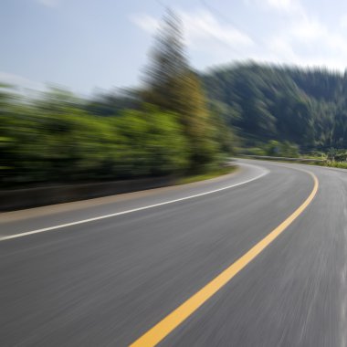 Orman Otoban yolu