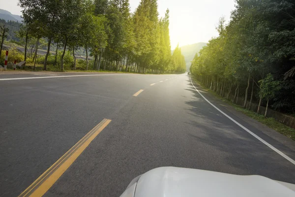 Estrada da estrada florestal — Fotografia de Stock