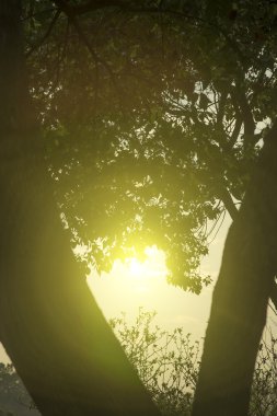 Güzel Çin yatay çekim