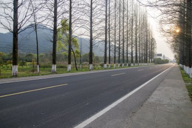 Orman Otoban yolu arka plan olarak