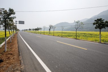 Güzel Çin yatay çekim