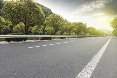 Orman Otoban yolu arka plan olarak