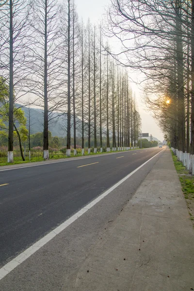 Carretera forestal Carretera como fondo — Foto de Stock