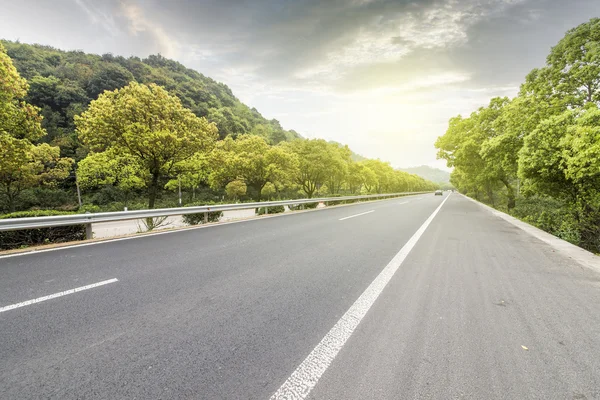 Orman Otoban yolu arka plan olarak