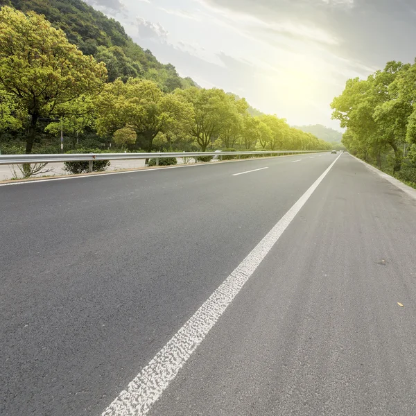 Orman Otoban yolu arka plan olarak