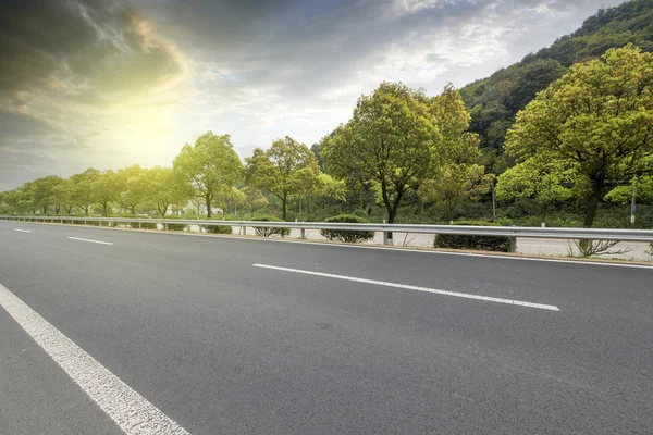 Orman Otoban yolu arka plan olarak