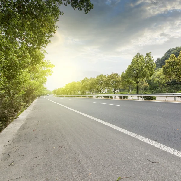 Bos snelweg weg als achtergrond — Stockfoto