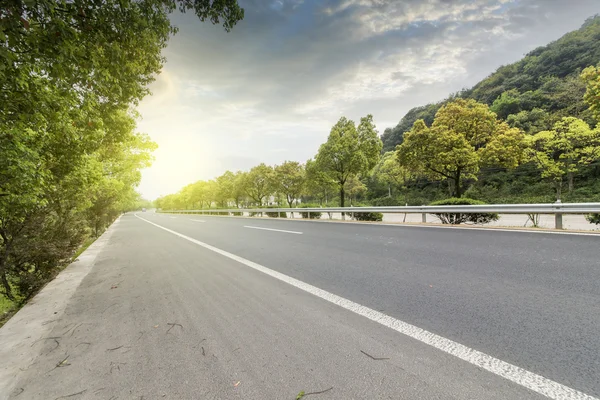 Highway skogsväg som bakgrund — Stockfoto