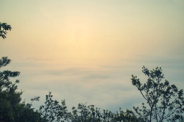 Nascer do sol em nuvens com árvores no topo — Fotografia de Stock