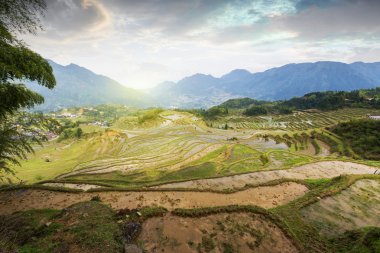 Teraslı dağ scener