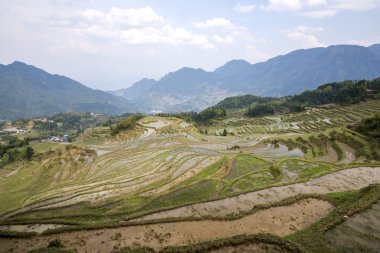 Teraslı dağ scener
