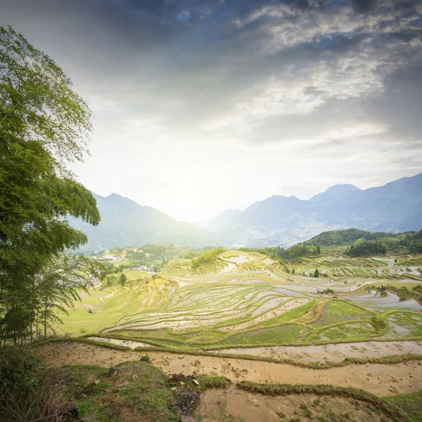 Terraced mountain scener — Stock Photo, Image