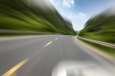 highway road with wood trees