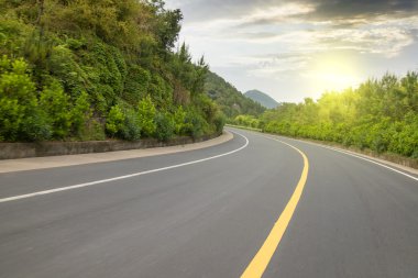highway road with wood trees