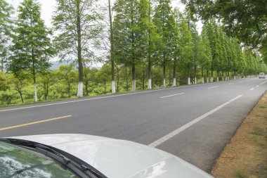 Güzel Çin yatay çekim