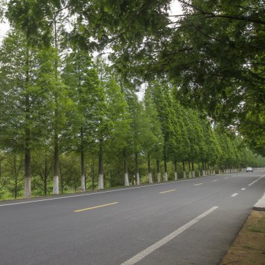 Güzel Çin yatay çekim